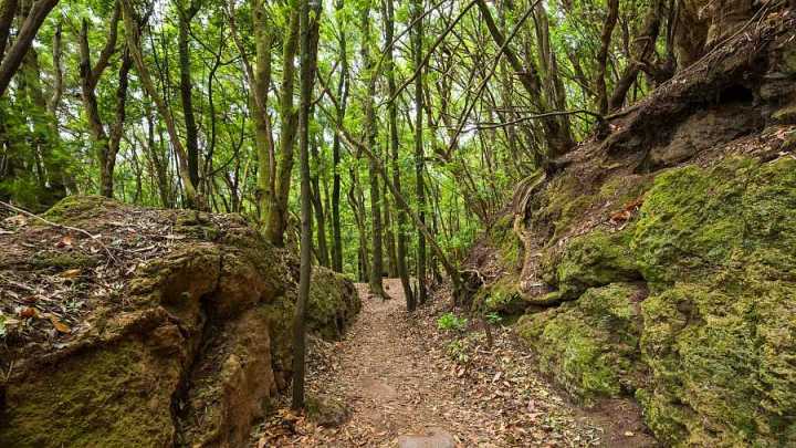 Parque Rural de Anaga